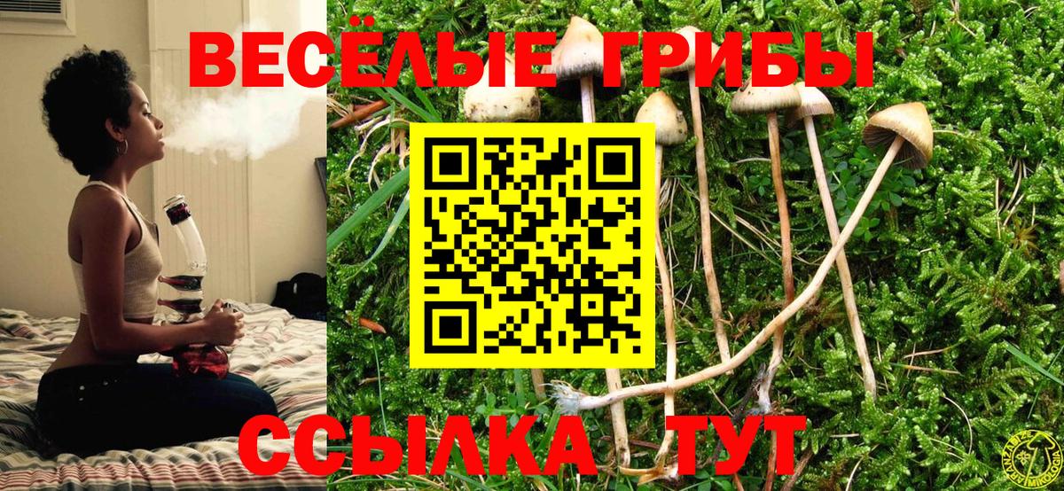 Псилоцибиновые грибы прущие грибы Киржач