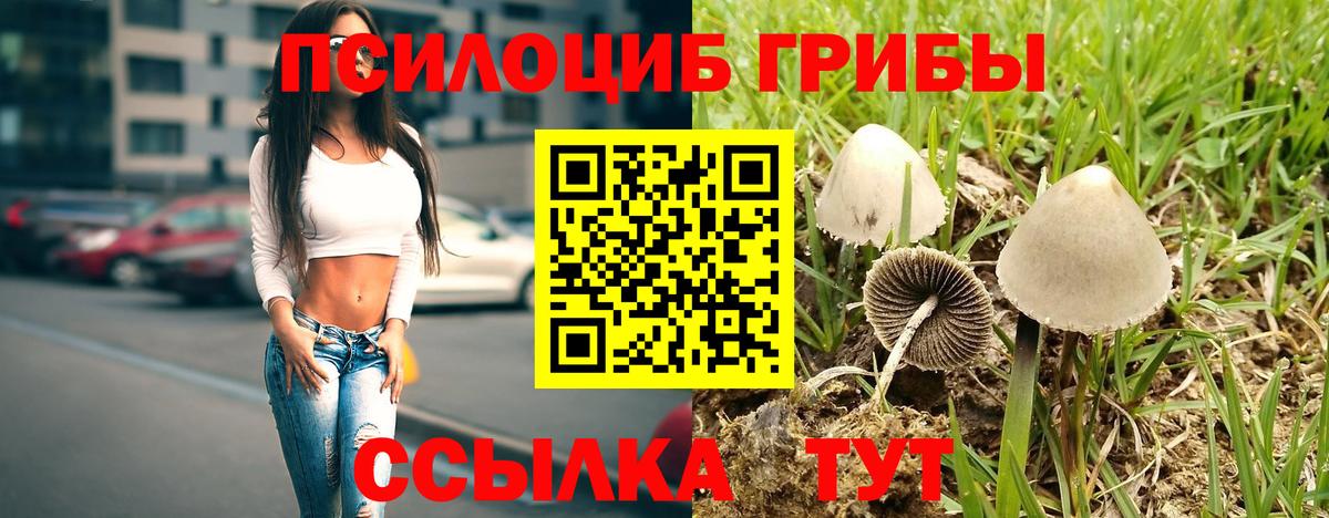 Галлюциногенные грибы мухоморы  Вход с VPN  Киржач 